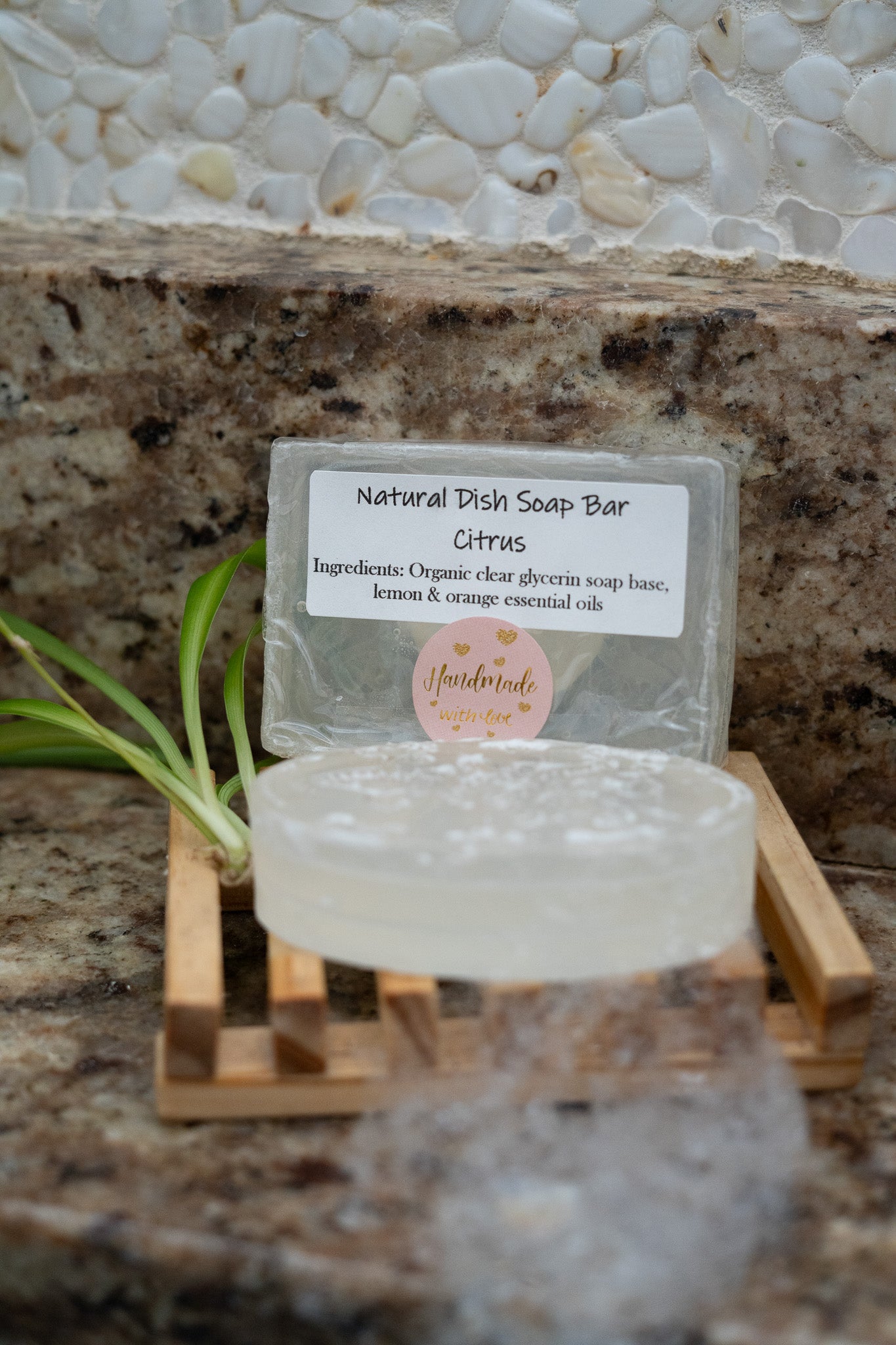 Citrus Dish Soap Bar